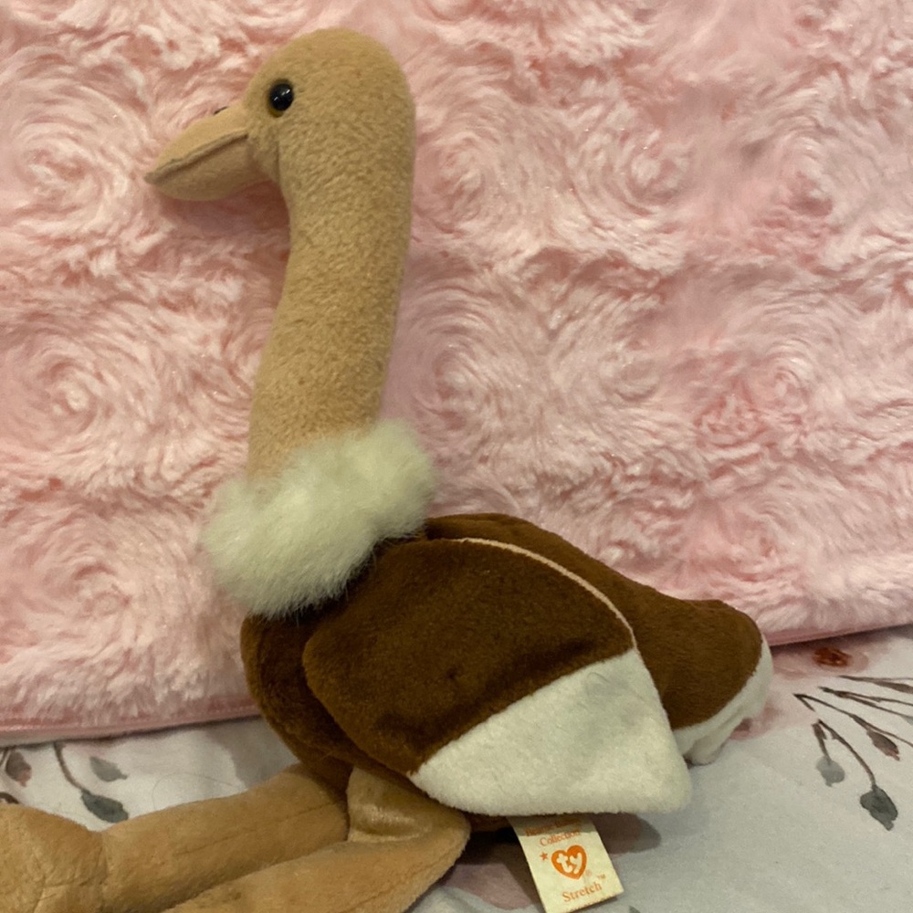 A bird